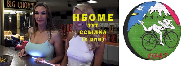 шишки Алзамай