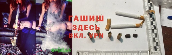 шишки Алзамай