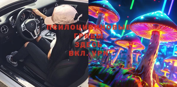 шишки Алзамай