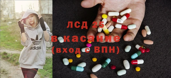 шишки Алзамай