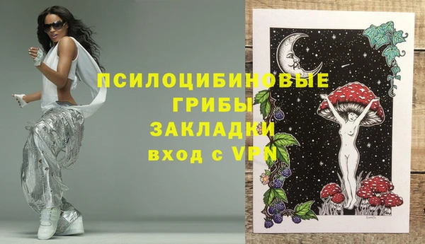 гидра Алексин