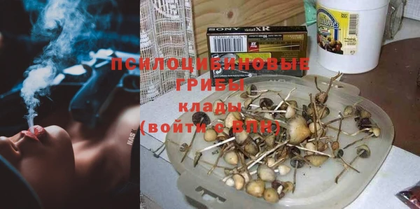 шишки Алзамай