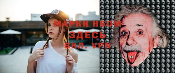шишки Алзамай