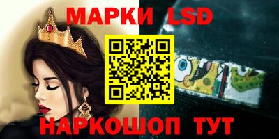 винт Владимир