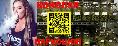 СК Владивосток