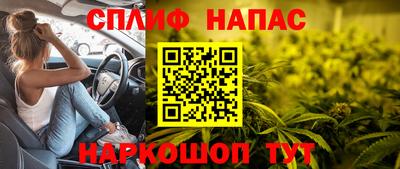 винт Владимир