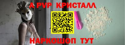 СК Владивосток
