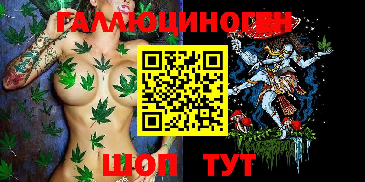 Благодарный  Галлюциногенные грибы Cubensis  даркнет сайт  Галлюциногенные грибы мицелий  Вход с VPN 